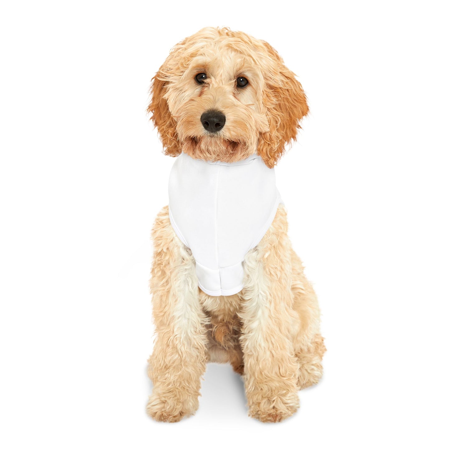Chic Pet Hoodie - Gorbachev Birth Chart